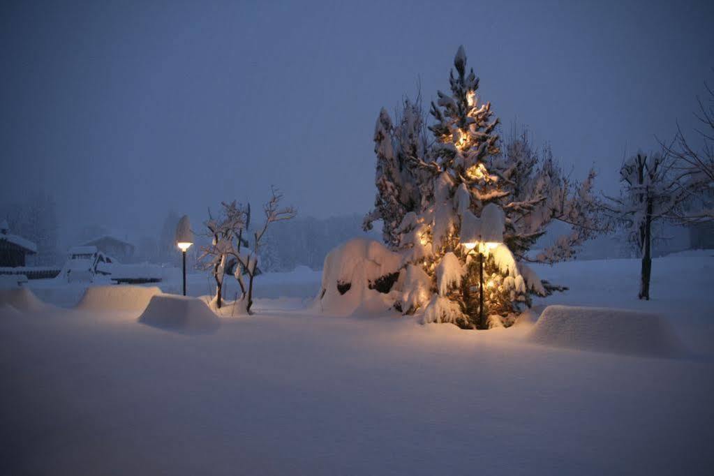 Pension Konigshof Мальниц Экстерьер фото